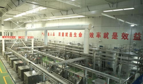 中國飲料界的超級(jí)單品 年銷40億罐，鑄就百億餐飲服務(wù)帝國