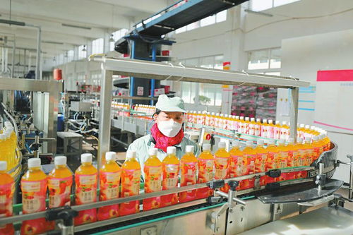 多產(chǎn)業(yè)協(xié)同發(fā)展 鋁產(chǎn)業(yè)、綠色家居與食品飲料等重點(diǎn)領(lǐng)域的建設(shè)與營商環(huán)境優(yōu)化